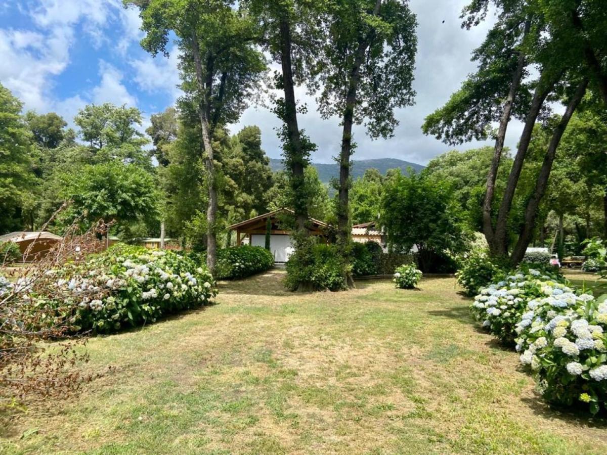 Camping Le Sagone Sagone  Exteriör bild