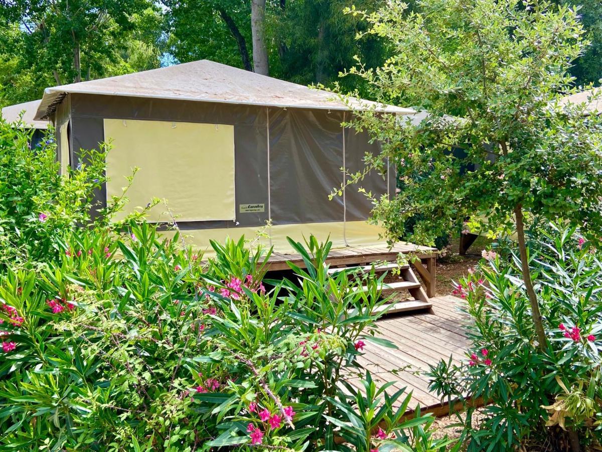 Camping Le Sagone Sagone  Exteriör bild